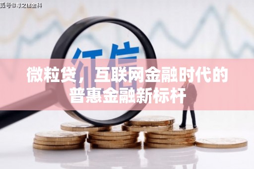 中寮微粒贷，互联网金融时代的普惠金融新标杆