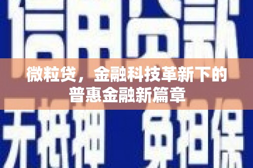 中寮微粒贷，金融科技革新下的普惠金融新篇章