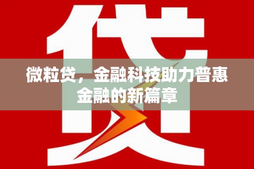 中寮微粒贷，金融科技助力普惠金融的新篇章