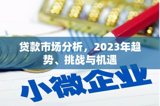 中寮贷款市场分析，2023年趋势、挑战与机遇
