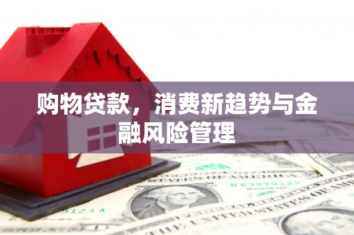 中寮购物贷款，消费新趋势与金融风险管理