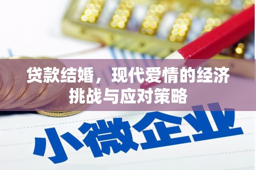 中寮贷款结婚，现代爱情的经济挑战与应对策略