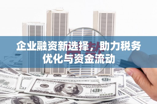 中寮企业融资新选择，助力税务优化与资金流动