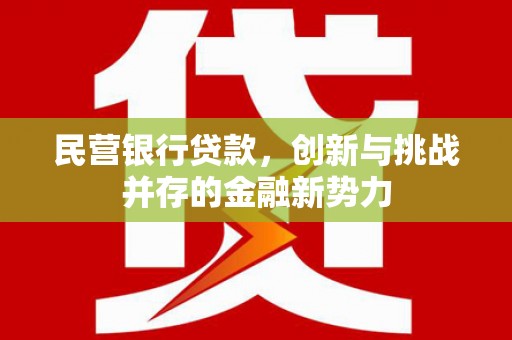 中寮民营银行贷款，创新与挑战并存的金融新势力