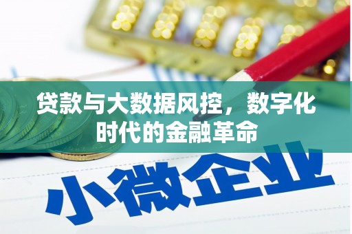 中寮贷款与大数据风控，数字化时代的金融革命