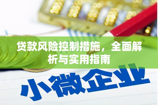 中寮贷款风险控制措施，全面解析与实用指南