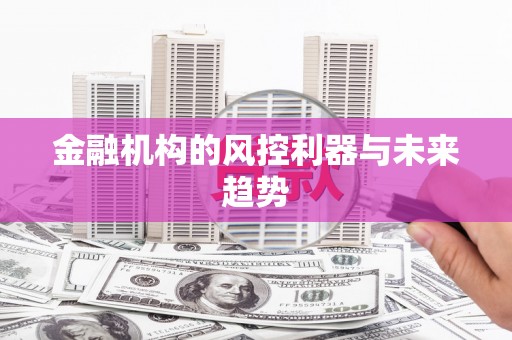 中寮金融机构的风控利器与未来趋势