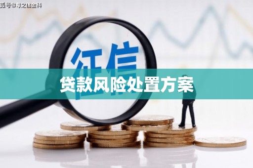 中寮贷款风险处置方案