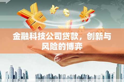 中寮金融科技公司贷款，创新与风险的博弈