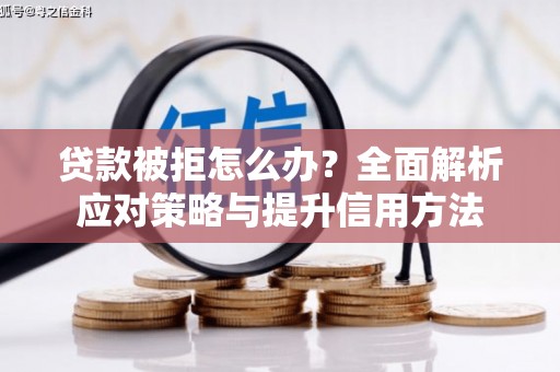 中寮贷款被拒怎么办？全面解析应对策略与提升信用方法