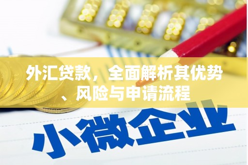 中寮外汇贷款，全面解析其优势、风险与申请流程