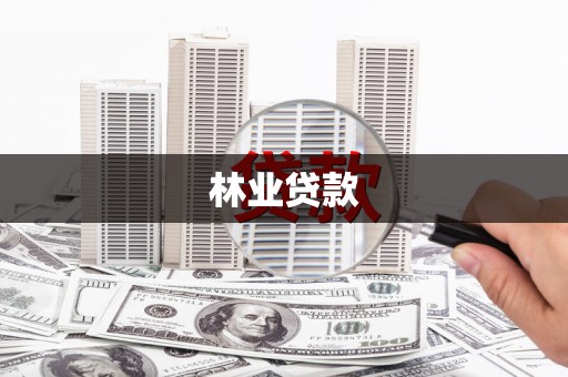 中寮林业贷款