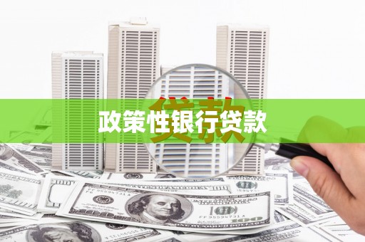 中寮政策性银行贷款