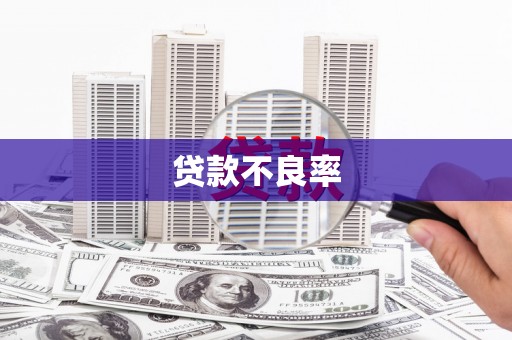 中寮贷款不良率