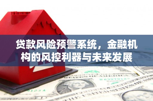 中寮贷款风险预警系统，金融机构的风控利器与未来发展