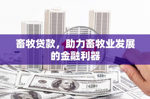 中寮畜牧贷款，助力畜牧业发展的金融利器