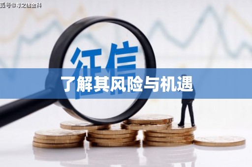 中寮了解其风险与机遇