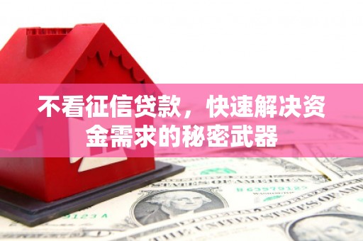 中寮不看征信贷款，快速解决资金需求的秘密武器