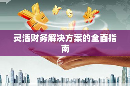 中寮灵活财务解决方案的全面指南