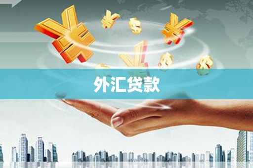 中寮外汇贷款