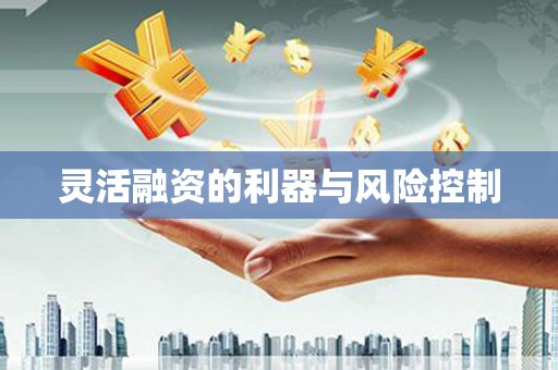 中寮灵活融资的利器与风险控制