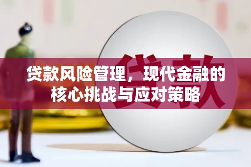 中寮贷款风险管理，现代金融的核心挑战与应对策略