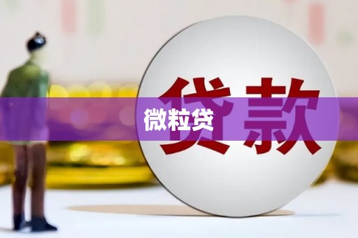 中寮微粒贷