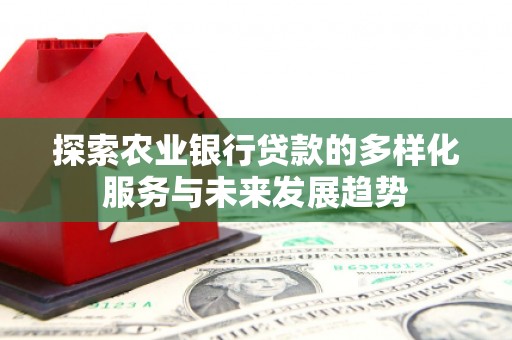 中寮探索农业银行贷款的多样化服务与未来发展趋势