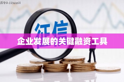 中寮企业发展的关键融资工具