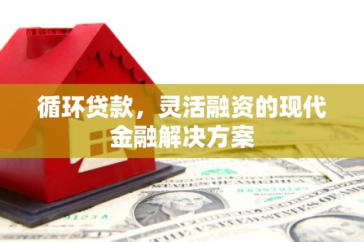 中寮循环贷款，灵活融资的现代金融解决方案