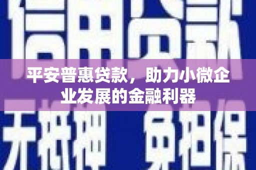 中寮平安普惠贷款，助力小微企业发展的金融利器