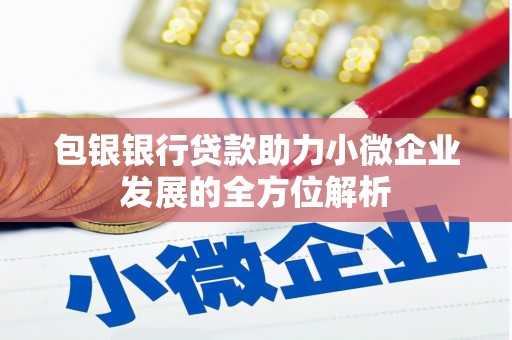 中寮包银银行贷款助力小微企业发展的全方位解析