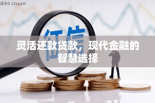中寮灵活还款贷款，现代金融的智慧选择
