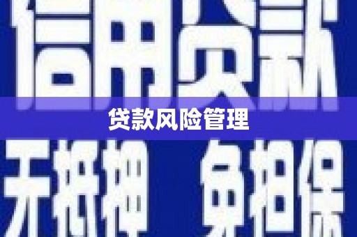中寮贷款风险管理