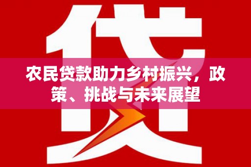 中寮农民贷款助力乡村振兴，政策、挑战与未来展望