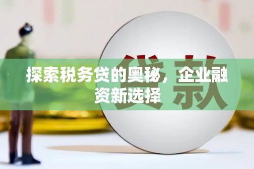 中寮探索税务贷的奥秘，企业融资新选择