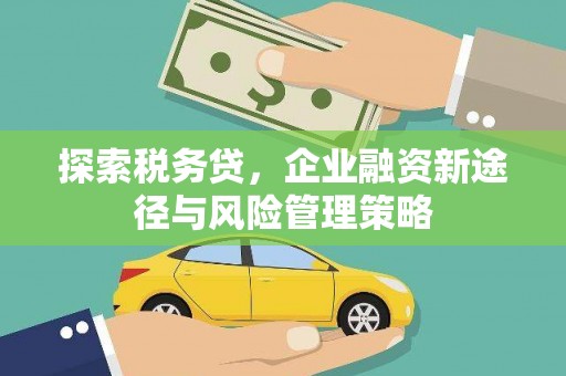 中寮探索税务贷，企业融资新途径与风险管理策略