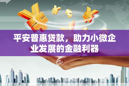 中寮平安普惠贷款，助力小微企业发展的金融利器