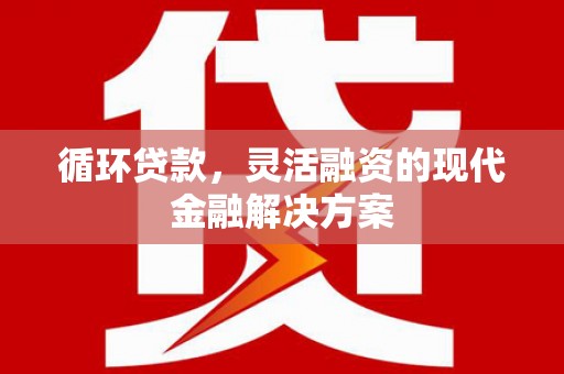 中寮循环贷款，灵活融资的现代金融解决方案