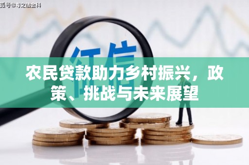 中寮农民贷款助力乡村振兴，政策、挑战与未来展望