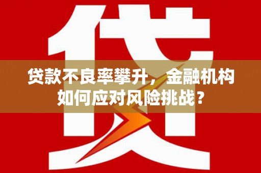 中寮贷款不良率攀升，金融机构如何应对风险挑战？