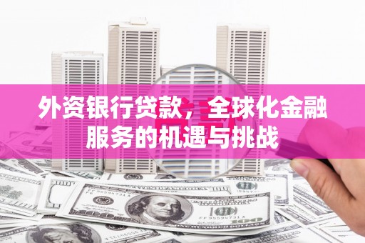 中寮外资银行贷款，全球化金融服务的机遇与挑战