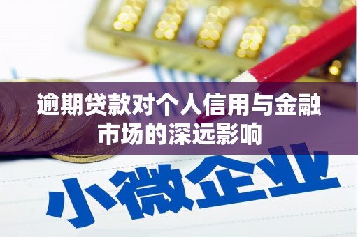中寮逾期贷款对个人信用与金融市场的深远影响