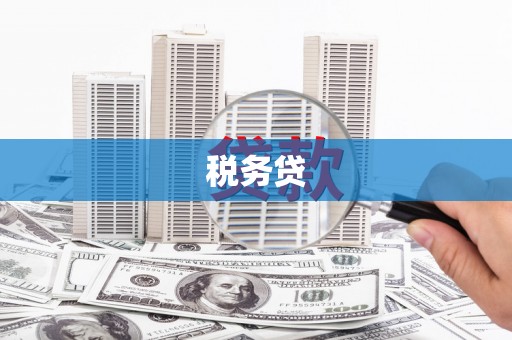 中寮税务贷
