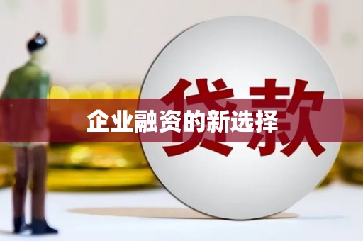 中寮企业融资的新选择