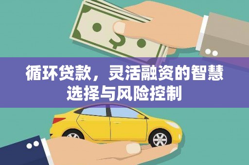 中寮循环贷款，灵活融资的智慧选择与风险控制