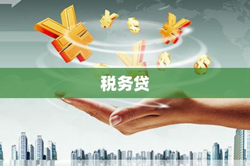 中寮税务贷