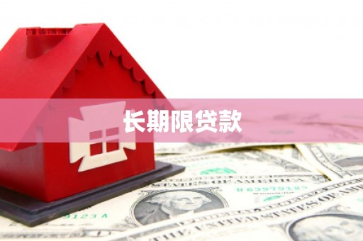 中寮长期限贷款