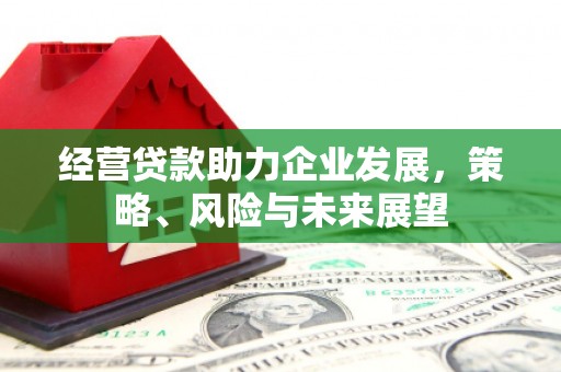 中寮经营贷款助力企业发展，策略、风险与未来展望