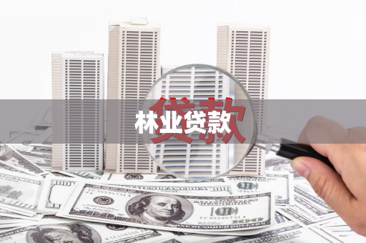 中寮林业贷款